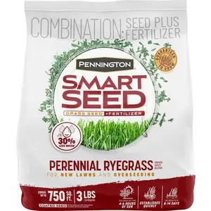 Smart Seed Perennial Ryegrass 3 lb. 750 sq. ft. Grass Seed Blend and Lawn Fertilizer