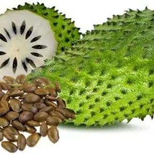 10+ Giant Soursop Heirloom Seeds - Annona Muricata - Tropical Garden Seeds with Sweet and Tangy Flavor, Ideal for Outdoor Gardening