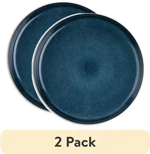 (2 pack) Stoneware Dinner Plate, Atlantic Blue