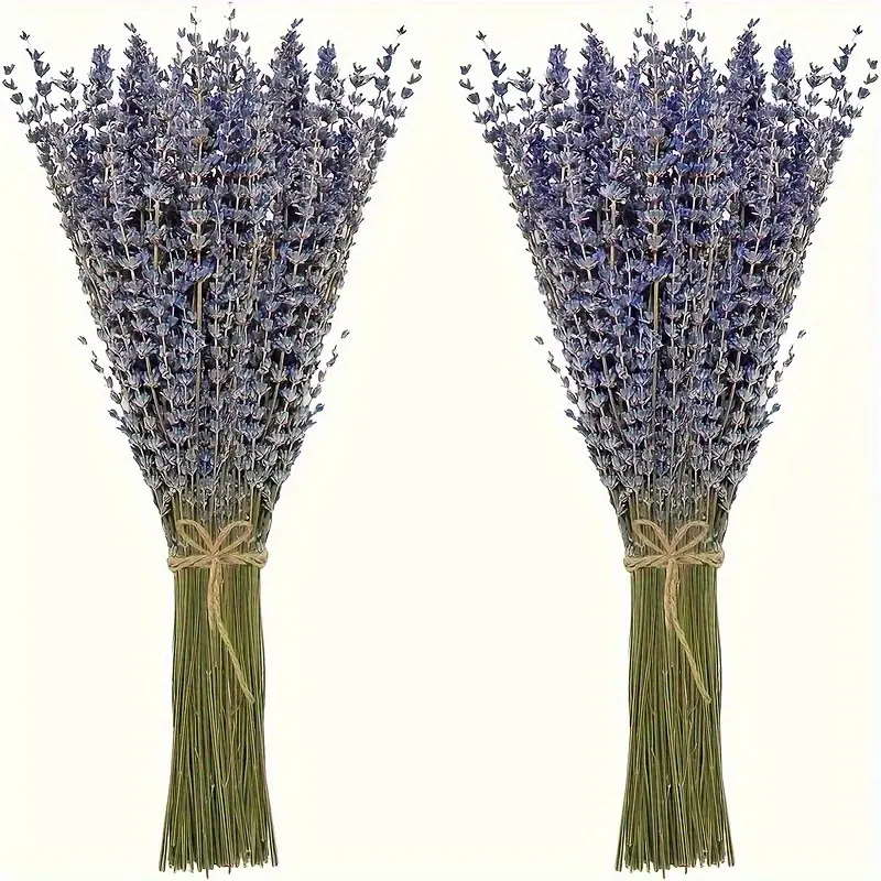2-Pack 16 in Natural Purple Decorative Lavender Bunches, Boho Home Decor, Rustic Wedding Bouquet, Farmhouse Vase Centerpiece, DIY Crafts Supplies, Gift Option, Bouquets, Boxed Set