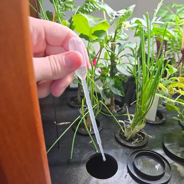 Dropper/Pipette