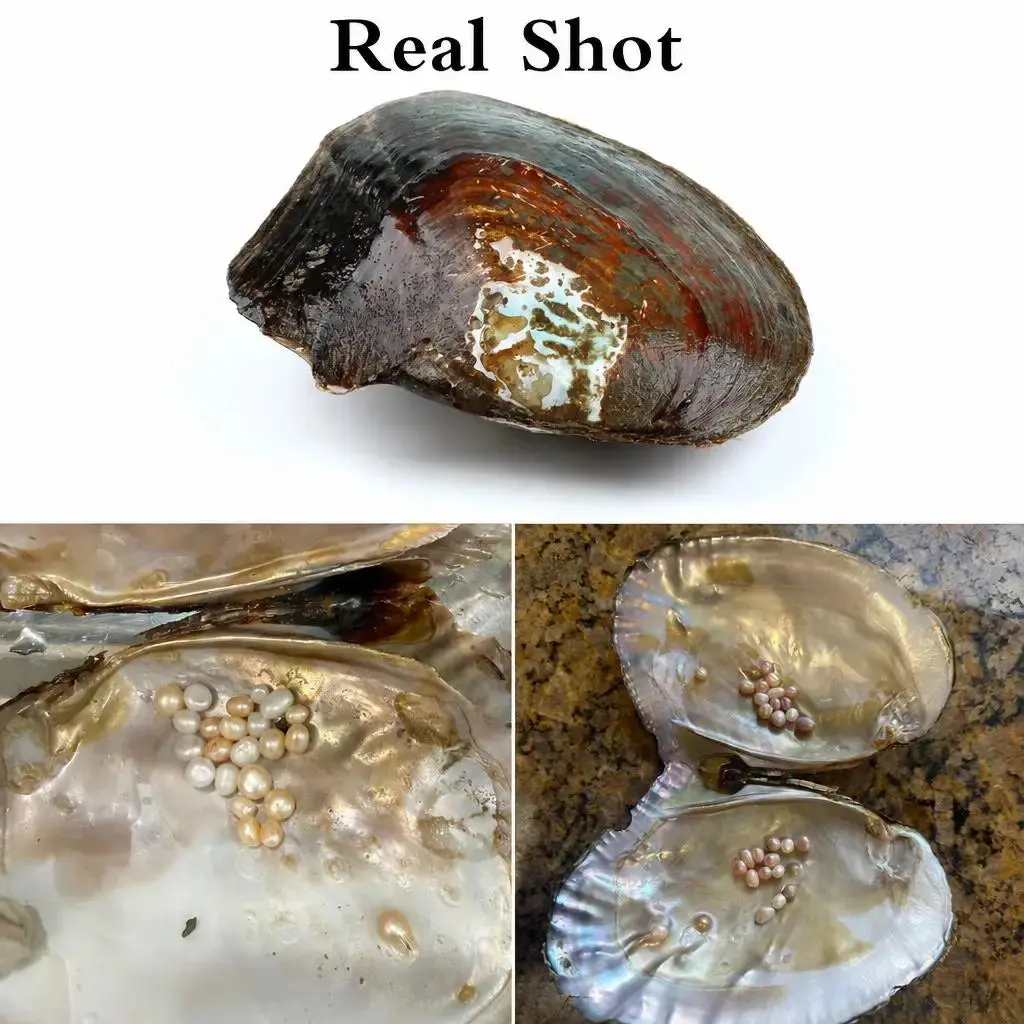 Freshwater Cultured Pearl About 20-25 Beads 5-7mm Love Wish Oyster  Jewelry DIY Accessories Special Oyster Gemstone Gift