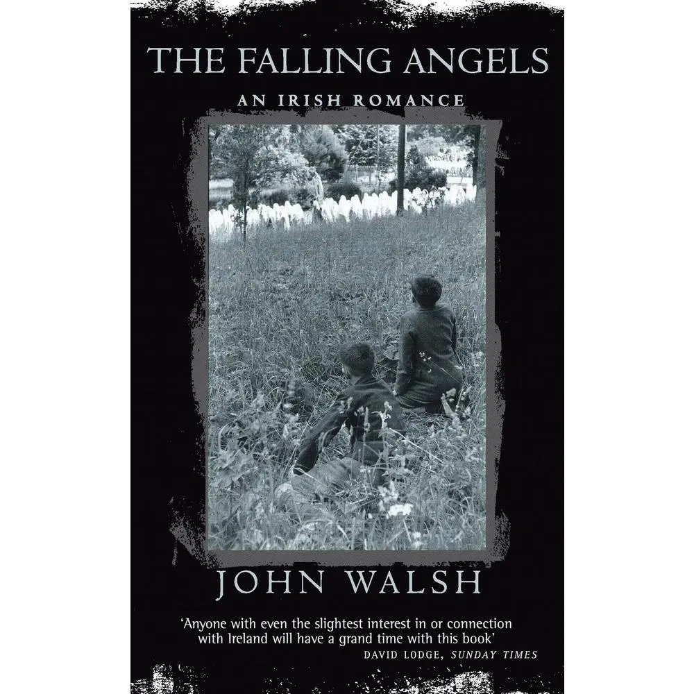 USED-The falling angels: an Irish romance / John Walsh by John (1953-) Walsh (Paperback)