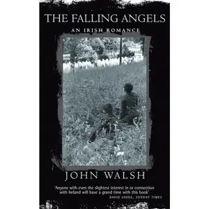 USED-The falling angels: an Irish romance / John Walsh by John (1953-) Walsh (Paperback)