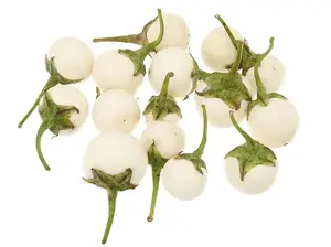 White Round Eggplant Seeds Cà Pháo Trắng 70-85 Days Harvest by Mai's Family
