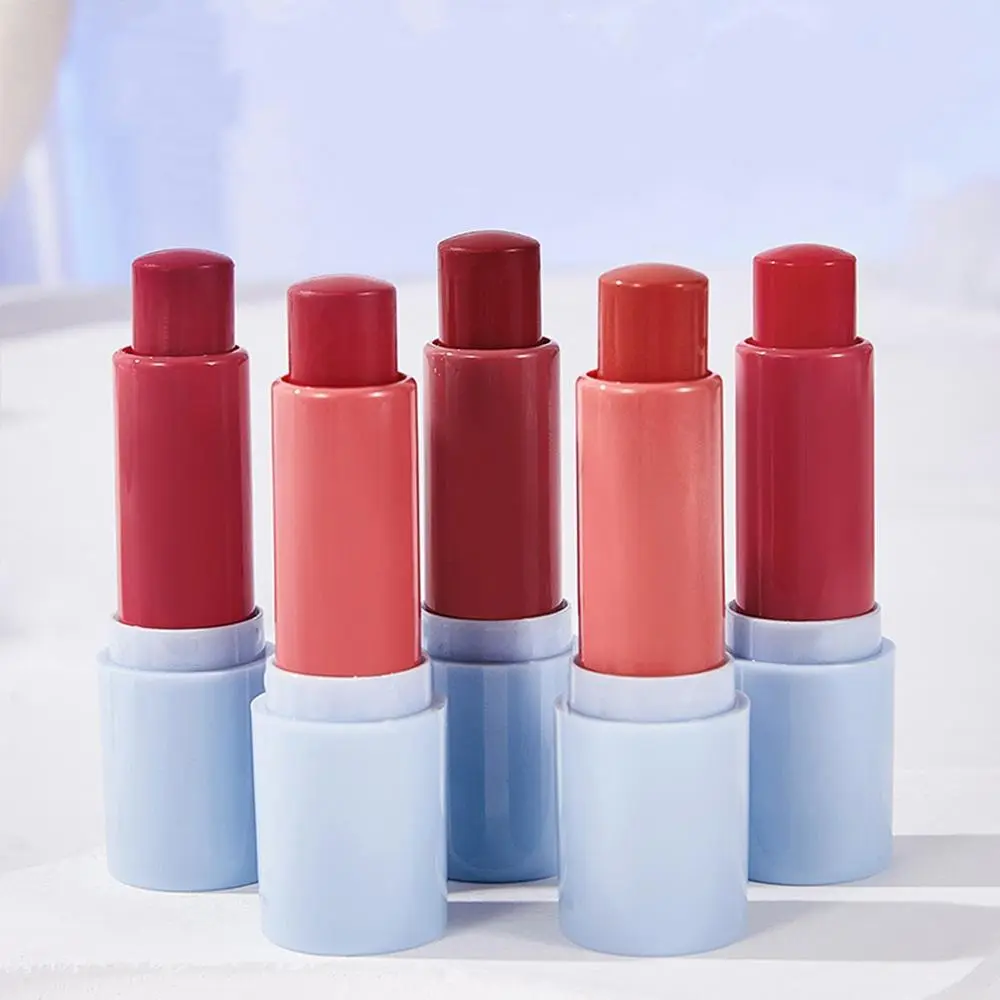 Long Lasting Lipstick, 1 Box Moisturizing Lipstick, Multifunctional Glossy Lip Glaze Stick, Plumping Lip Oil Lip Stick for Girls & Women
