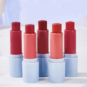 Long Lasting Lipstick, 1 Box Moisturizing Lipstick, Multifunctional Glossy Lip Glaze Stick, Plumping Lip Oil Lip Stick for Girls & Women