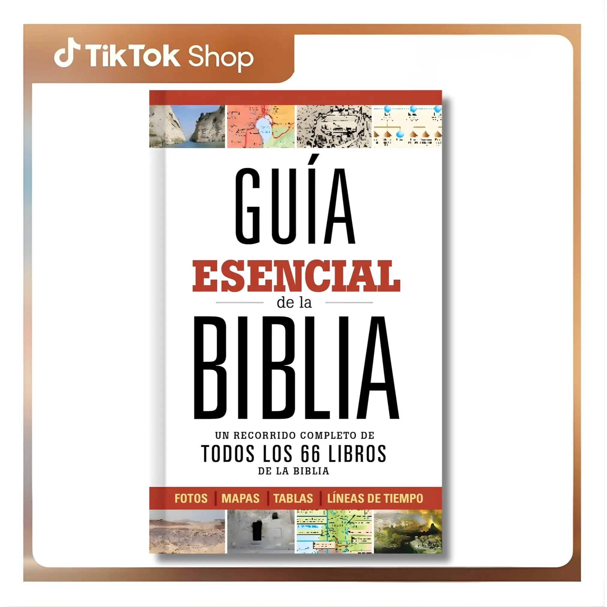 Guía Esencial de la Biblia - Ultimate Bible Guide (Spanish Edition) by B&H Espanol Editorial Staff, Hardcover Religion Book for Those Seeking Truth in Bible with Historical Context, Language Insights, Understand Key Concepts, Languages, Cultures