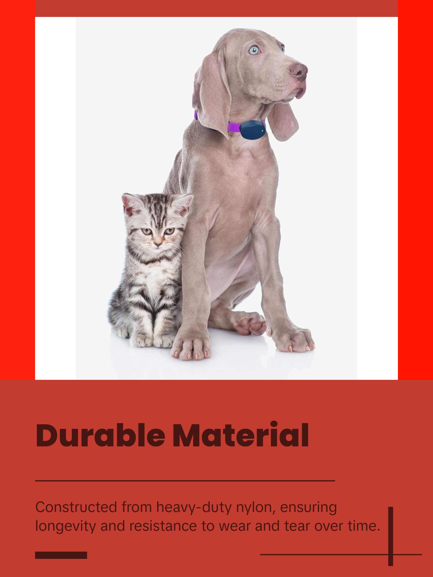 Dog Collar Replacement Strap - Bright Orange - Compatible with Nearly All Brands and Models of Underground Dog Fences