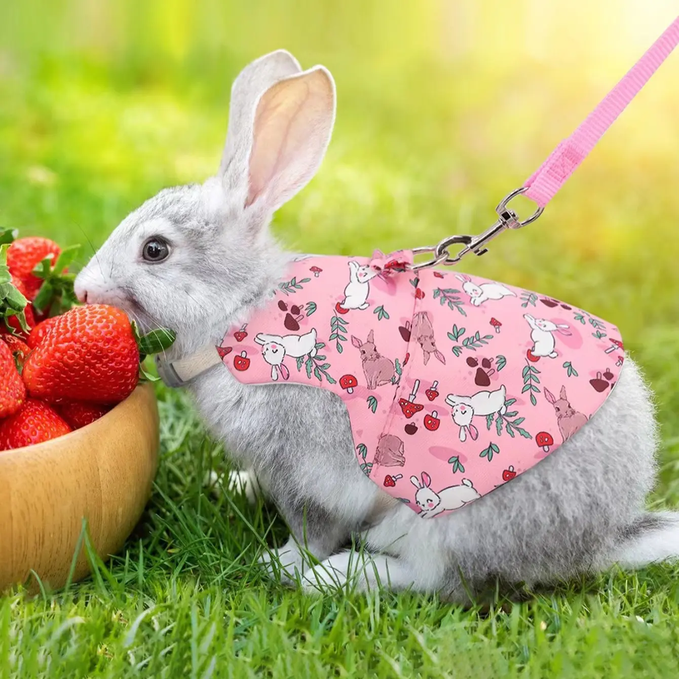 Small Pet Chest Harness and Leash Set, Rabbit Dutch Pig Small Dog Cat Vest Leash, Pet Leash Accessories, Comfortable Pet Supplies