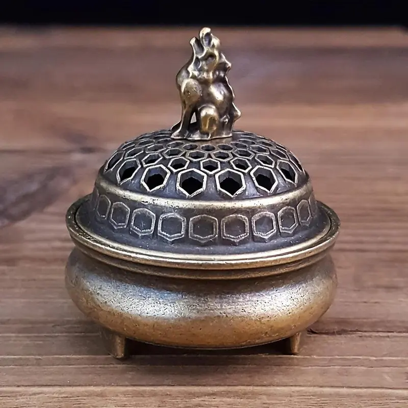 bluzen succulent stone diffuser - TikTok Shop