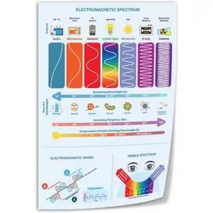 Electromagnetic Spectrum Science Educational Poster Canvas Art Wall Printing Office Bedroom Aesthetic Living Room24x36inch(60x90cm) Unframe-style