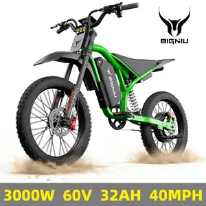 【BIGNIU BG-S PRO】Adult Electric Bike – 19-inch tires,  60V 32A battery, dual hydraulic brakes, suitable for both off-road and city riding. BGS Pro.
