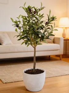 28" Faux Olive Tree in White Textured Pot