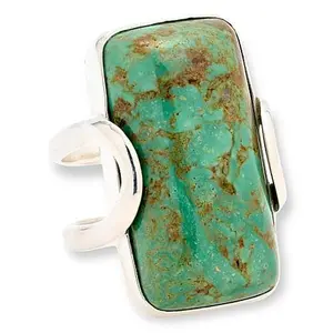 Mine Finds by Jay King Sterling Silver Green Alecia Turquoise Ring