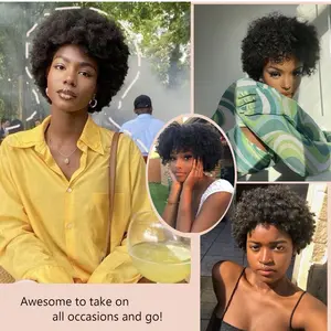 Afro Wigs for Women 100% Human Hair Soft and Fluffy Glueless Wigs 70s Kinky Curly Wig Cosplay or Daily Use (Natural Black)