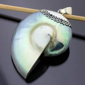 Vintage Exotic Nautilus Shell 925 Sterling Silver Necklace Pendant Jewelry, Multi-Color, 2 Inch