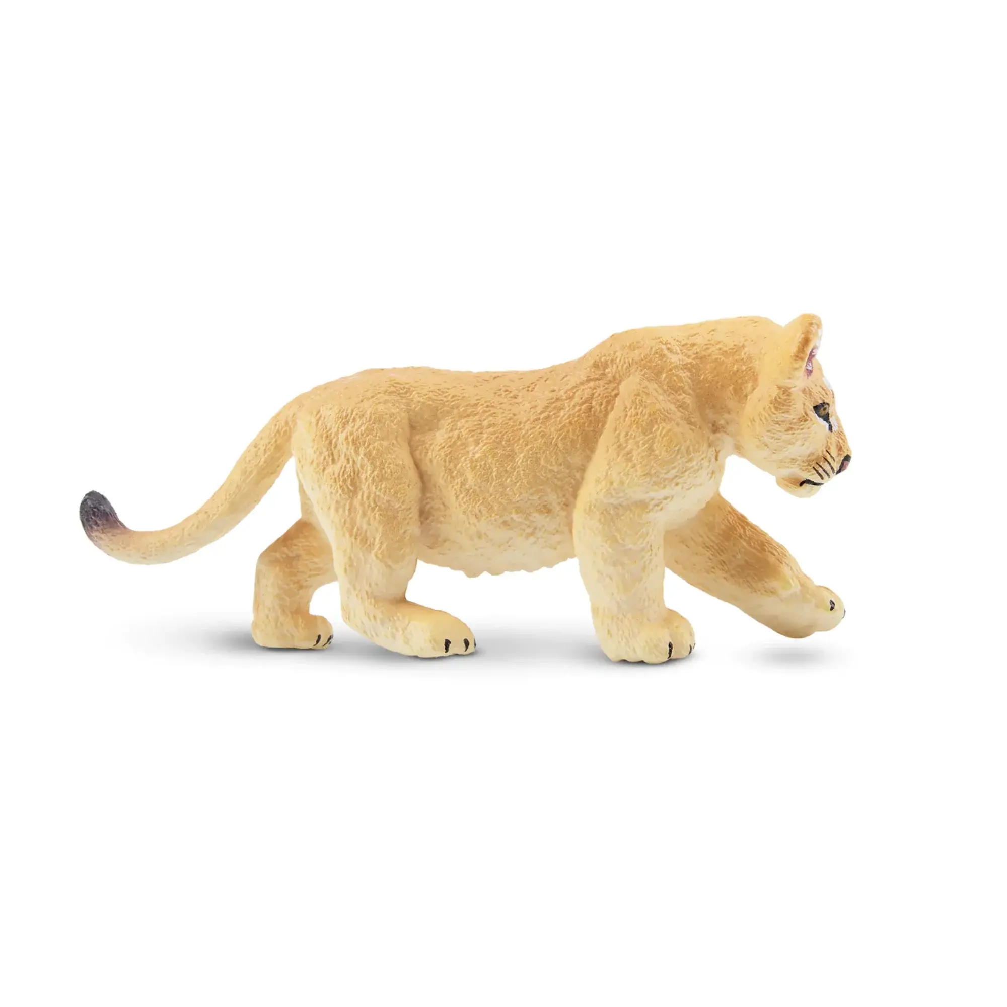 Toymany Hand-Painted Walking Lion Cub Figurine – Realistic Animal Model, Perfect for Early Education, Montessori Sensory Play, Cake & Party Decorations, Desk & Home Décor, Thoughtful Gifts, and Collectible Figurine
