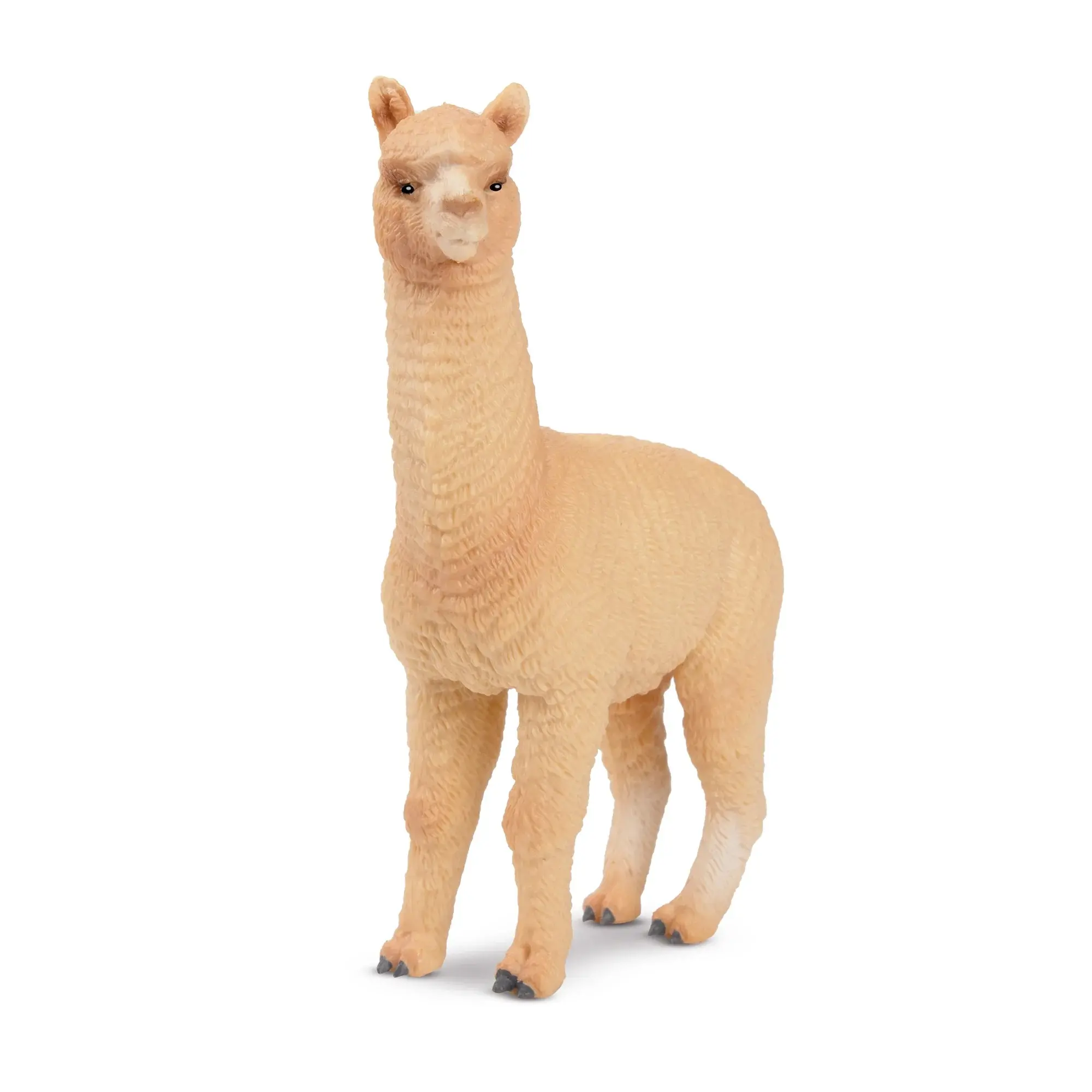 Toymany Hand-Painted Plastic Male Alpaca Figurine - Realistic Unisex Animal Model, Ideal for Early Education, Montessori Sensory Play, Thoughtful Gifts, Collectible Toy Figure