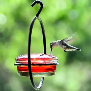 Hummingbird Feeder
