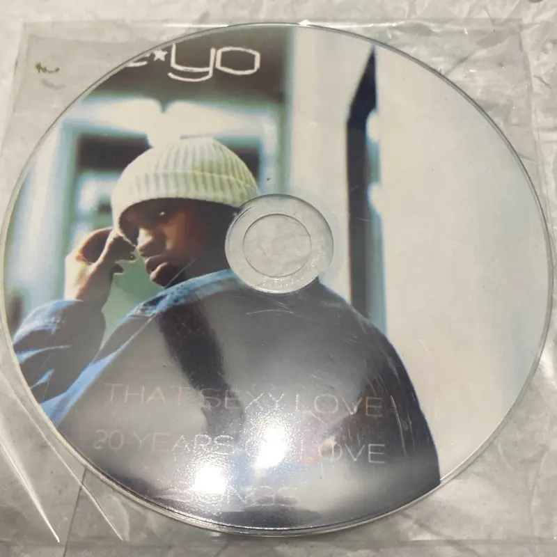 Ne Yo that sexy love 20 years of love songs