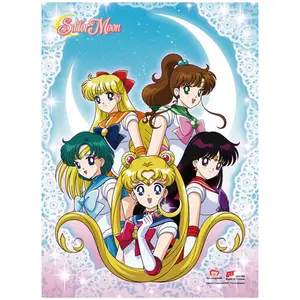 Sailor Moon - Group SS Wall Scroll 18.5"W x 25.2"H