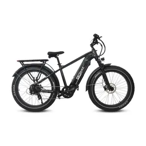 Joyrider High-Step Fat Tire Ebike