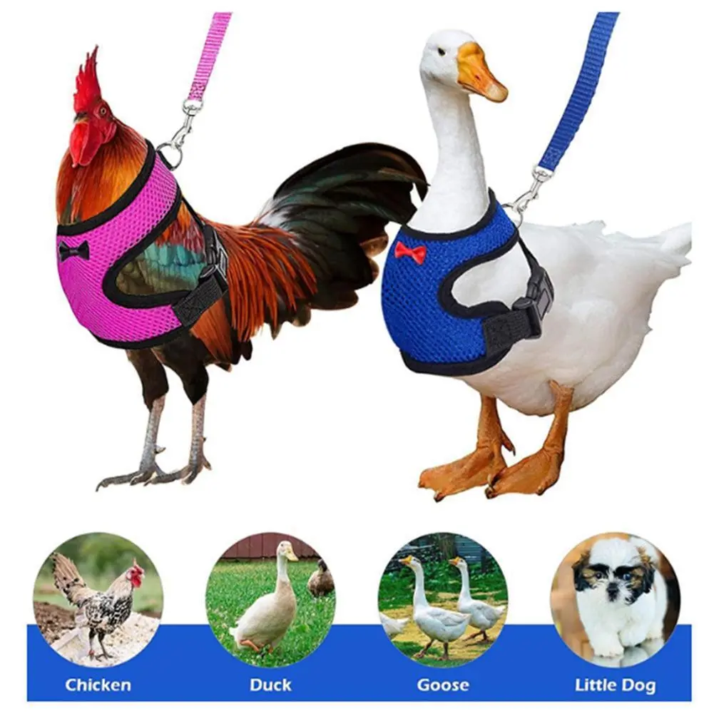 Adjustable Chicken Harness Leash with Elastic Polyester Vest - 1pc/2pc, Comfortable, Breathable, 1 Size Pet Supplies for Chickens, Geese, No Spam Terms (Farm Animal & Poultry Carriers & Leads), One Size, Goose