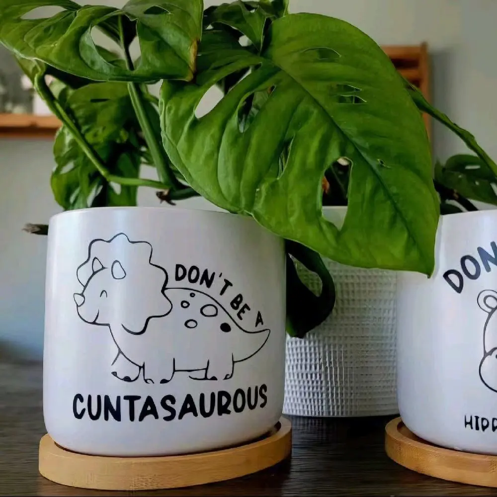 Funny Plant Pot with "Don't Be Cuntasaurus" Dinosaur Design for Fun Home Decor
