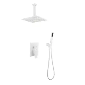 16 Inch Ceiling Mounted Shower Head System Stainless Steel Rainfall Showerhead with Adjustable Arm for Bathroom Spa Experience, Brushed Nickel Finish, Modern Design, Easy Installation, Single Function, Bathroom Shower Door for Bathtub