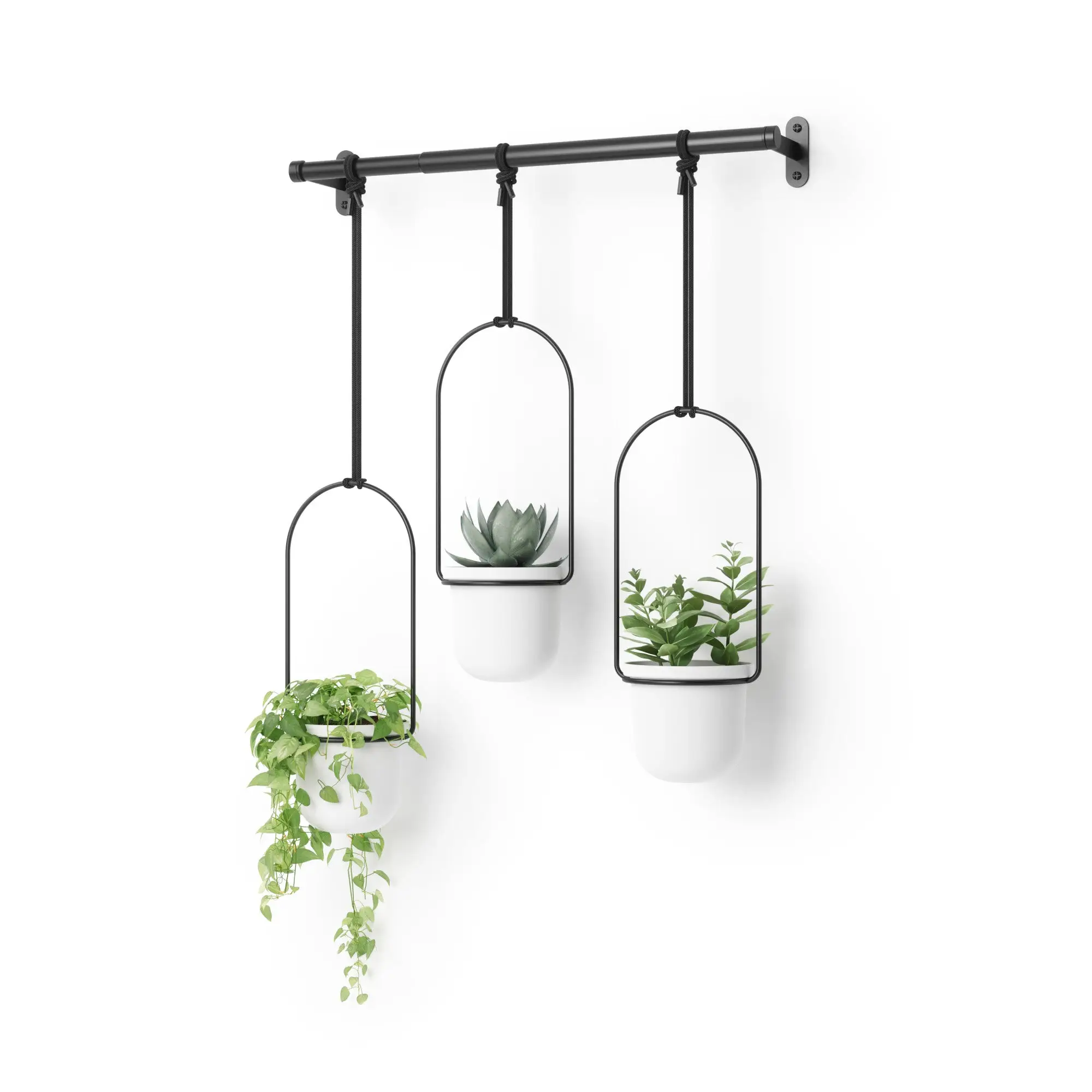 Triflora Hanging Planters - Set of 3 for Indoor Gardening