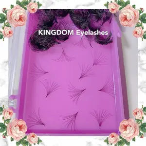 12D Handmade / Promade Lashes - 1000 Fans