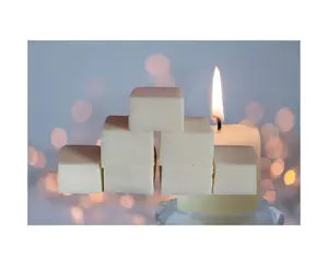 Virgo Moon + Fruity Loop Scented+ Handcrafted wax melts