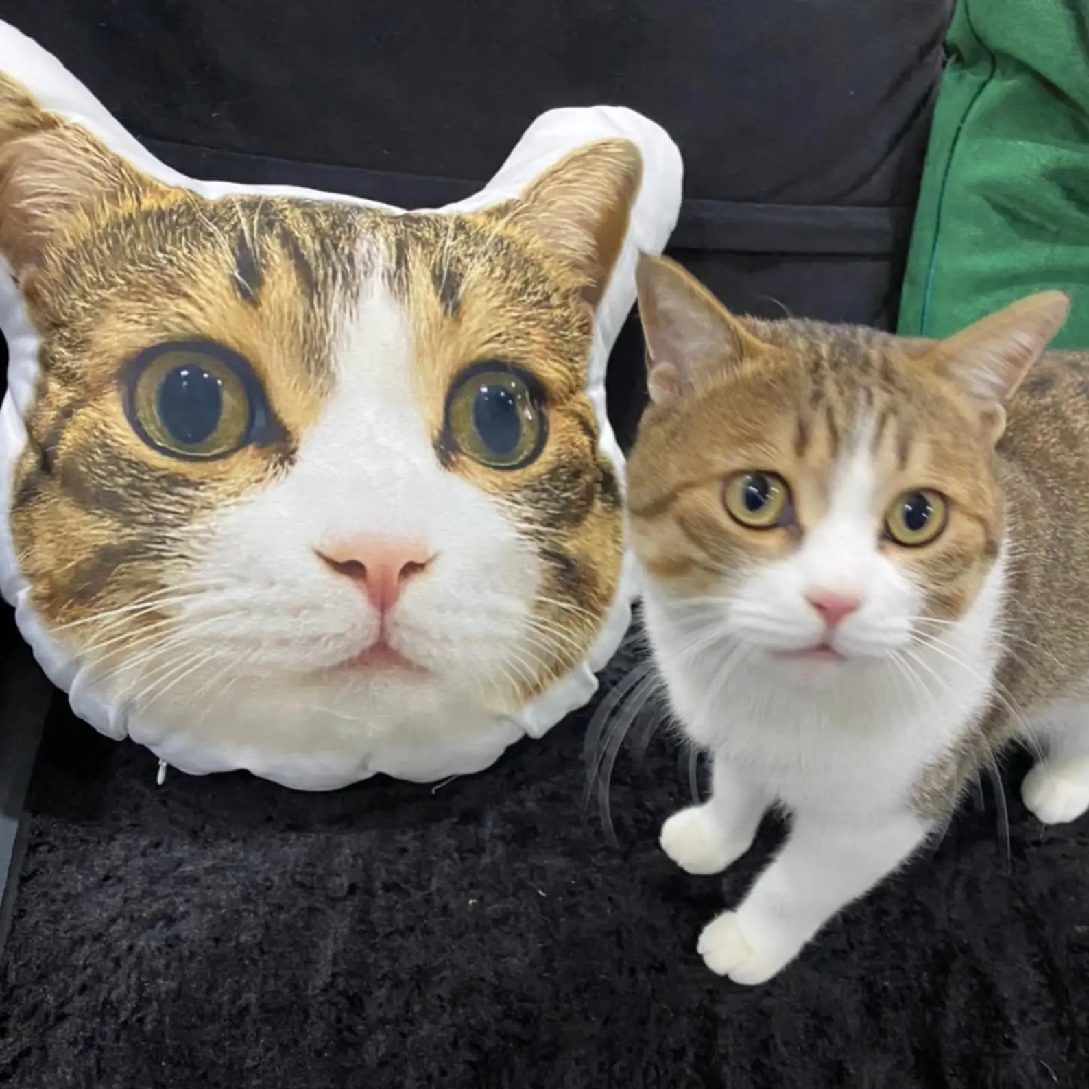 Custom Pet Shaped Pillow, 3D Double-Sided Print, Personalized Pet Memorial Gift, Large Plush Pillow for Mother's Day or Valentine's