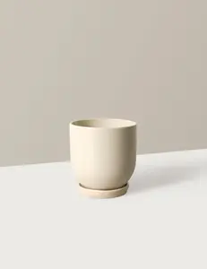 Westcott Ceramic Planter