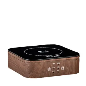 Household Smart Electric Ceramic Tea Stove Mini Tea Maker with Keep Warm for Brewing Steaming and Boiling Tea