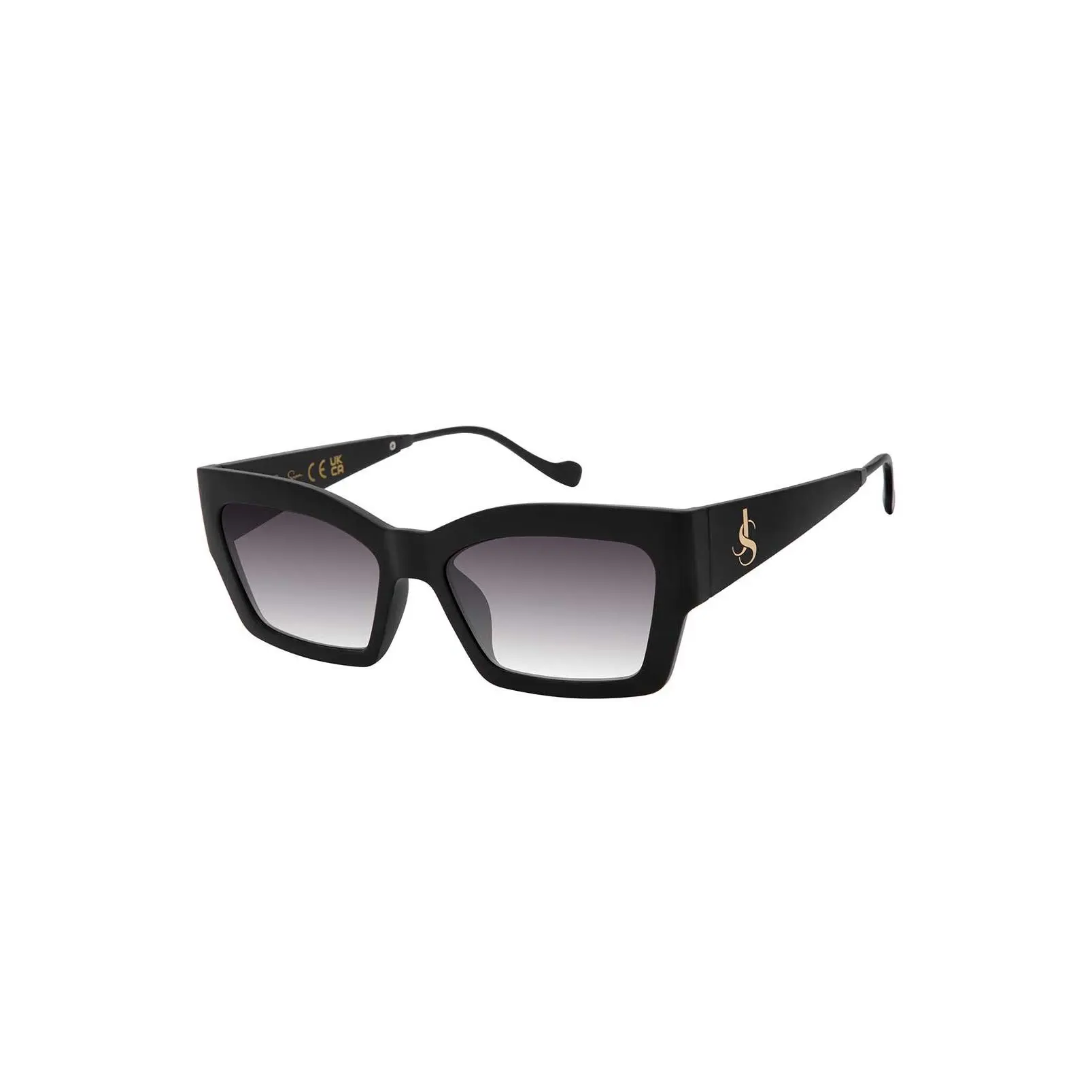 Modern Cat Eye Sunglasses in Black