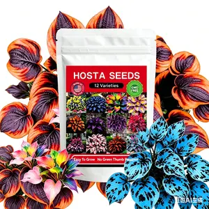 Mixed Hosta Seeds 12 Varieties 12000+Pcs hosta seed, Rainbow Heart-Shaped Leaves, Perennial Shade Garden Plants for Outdoor Pots & Borders