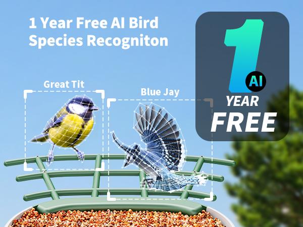 4G LTE Cellular Camera with Bird Feed, 1 Year Trial AI Identify HD Bird Watching Camera, 4 DIY Add-ons, Bird House with Solar Panel for Outdoor, 7800mAh Battery, Suitable for Bird Lover（4G DATA REFILL Required）