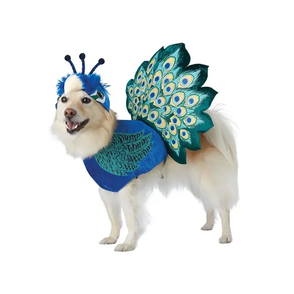 Pretty as a Peacock Pet Costume for Dogs