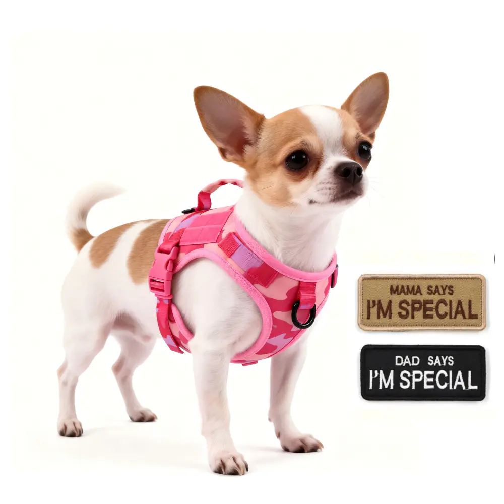 Adjustable tactical small dog harness for cats and small dogs , with 2 patches, outdoor dog accessories #backtoschool