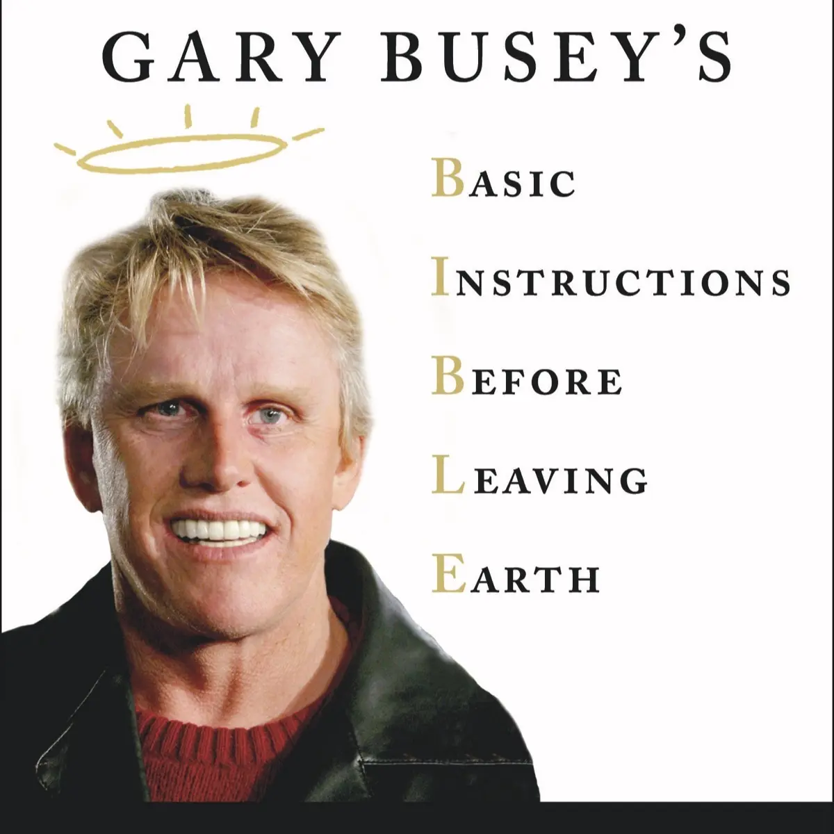 Buseyisms Book (Autographed)