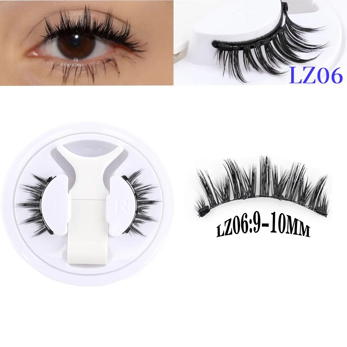 LZ06