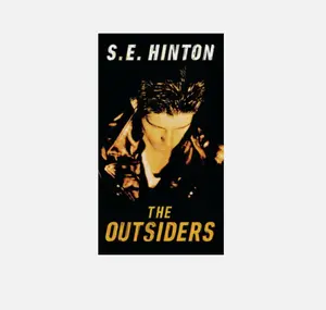 The Outsiders Summary