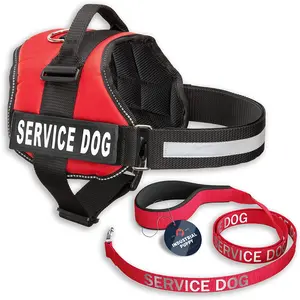 Service Dog Vest with Hook and Loop Straps & Matching Service Dog Leash Set - Harnesses from XXS to XXL - Service Dog Harness Features Reflective Patch and Comfortable Mesh Design (Red, Small) Industrial Puppy