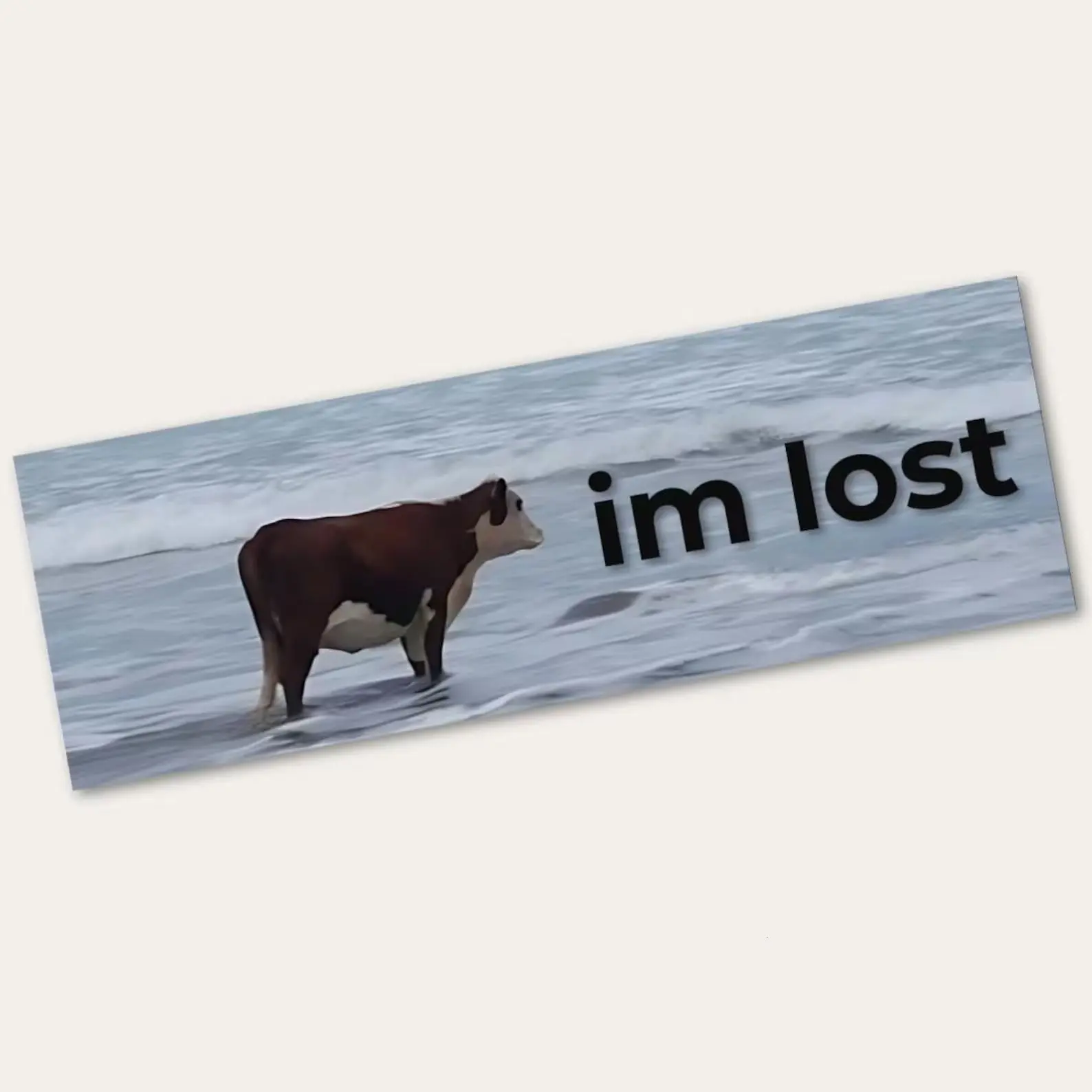 I'm Lost Cow Meme Car Magnet, Funny Cow Bumper Sticker, Farm Animal Meme Magnet, Waterproof Car Decal, Cute Country Gift
