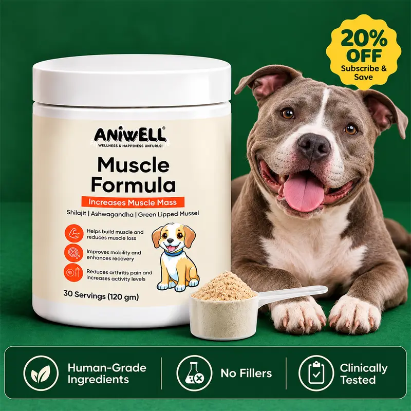 Aniwell Muscle Formula : Hip and Joint Multivitamin Supplement for Dogs