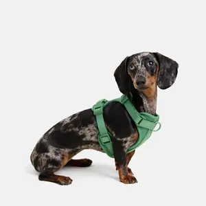 Doxie Harness