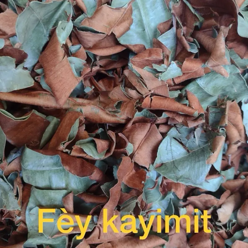 Fèy Kayimit