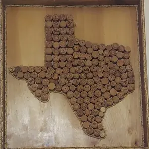 Eco Friendly Clean Recycled Wall Art Deco Hanging Decor Texas Art